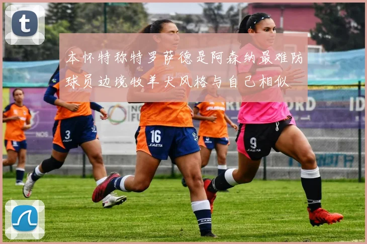 本怀特称特罗萨德是阿森纳最难防球员边境牧羊犬风格与自己相似