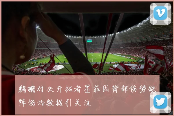 鹈鹕对决开拓者墨菲因背部伤势缺阵场均数据引关注